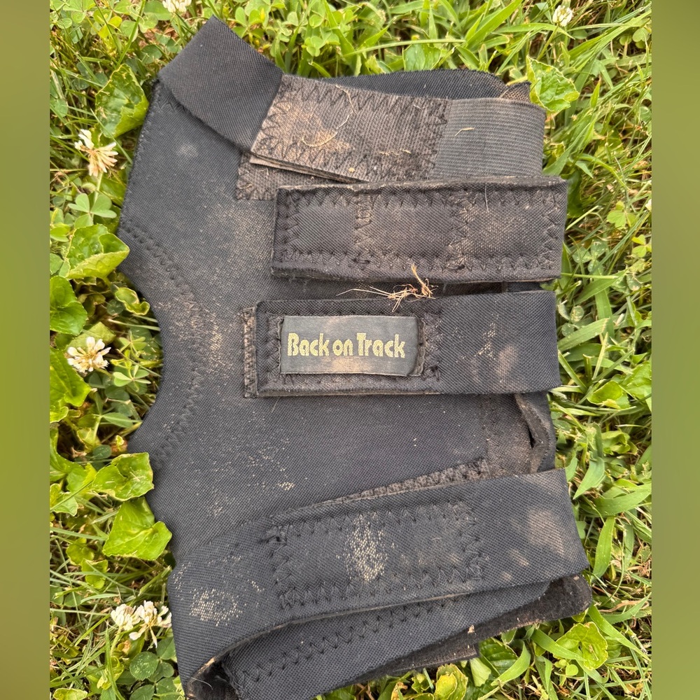 Back on track hock wrap